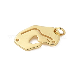 Messing Anhänger & Charms&nbsp;KK-P293-05G