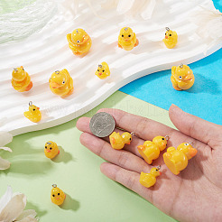 24pcs 4 Arten undurchsichtige Harzanhänger&nbsp;FIND-TA0009-53