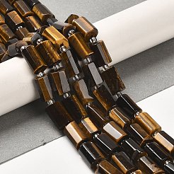 Natürlichen Tigerauge Perlen Stränge&nbsp;G-N327-06-21