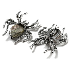 Spilla a forma di ragno con conchiglia tinta in pavé di lega di articoli a duplice uso&nbsp;JEWB-C026-04A-AS
