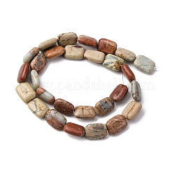 Natürliche Aqua Terra Jaspis Perlen Stränge&nbsp;G-L624-F03-14x10mm