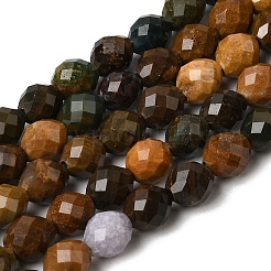Natur Ozean Jaspis Perlen Stränge&nbsp;G-K376-F17-01