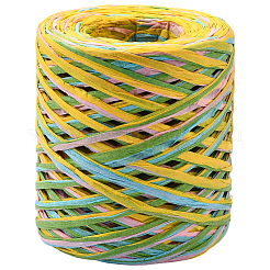 Cordons en papier raphia teints en segments pour loisirs créatifs&nbsp;OCOR-WH20020-27D