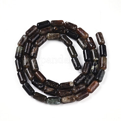 Perles naturelles biotite brins&nbsp;G-N346-01A-02