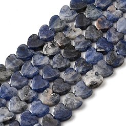 Natur Sodalith Perlen Stränge&nbsp;G-A272-A01-31