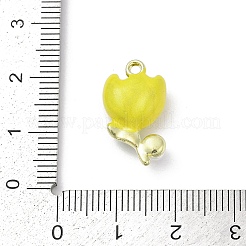 Emaille Anhänger Legierung&nbsp;PALLOY-R151-45G-01