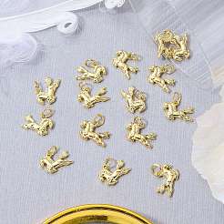 15 pieza de dijes de caballo de latón&nbsp;KK-SZ0007-45