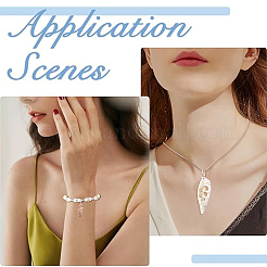 18 pieza de 6 estilos de colgantes grandes de concha natural&nbsp;BSHE-YW0001-20