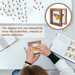 Schmuck-Ausstellungenboxen aus Holz mit weißer Eva-Schaummatte im Inneren&nbsp;ODIS-WH0061-06B