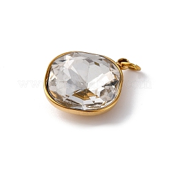 Pendentifs en verre à facettes en acier inoxydable 316&nbsp;STAS-K258-47G-03