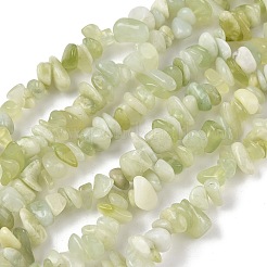 Natürlich neu jade Chip Bead Stränge&nbsp;G-M205-29