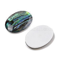Natürlichen Muschel Cabochons&nbsp;SSHEL-I026-20A