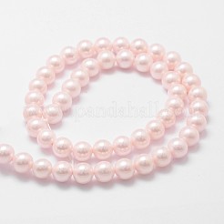 Shell fili di perle perline&nbsp;BSHE-L025-06-6mm