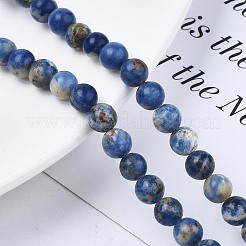 Perline sodalite naturale fili&nbsp;G-S279-10-6mm