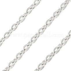 Chaînes de câbles en acier inoxydable 304 de 3.28 pied&nbsp;X-CHS-F001-03P