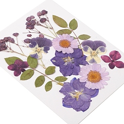 Fleurs séchées pressées&nbsp;DIY-YWC0001-102
