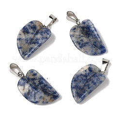 Pendentifs en jaspe tache bleue naturelle&nbsp;G-B127-01P-01