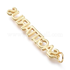 Messing Anhänger & Charms&nbsp;X-ZIRC-I048-15G-02