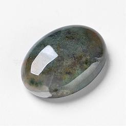 Cabochons en agate de mousse naturelle&nbsp;G-F296-09-22x30mm