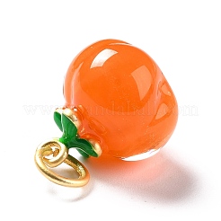 Manuelle Bunte Malerei Anhänger & Charms&nbsp;LAMP-A150-09MG-02