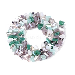 Fili di perline di vetro galvanizzate in stili misti&nbsp;EGLA-Q135-03A-C03