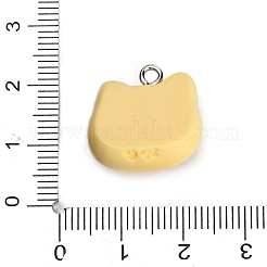 Pendentifs en résine opaque imprimée&nbsp;RE-CBA08CD-02C