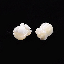 Natürliche Trochidschale / Trochusschalenperlen&nbsp;SSHEL-T014-32