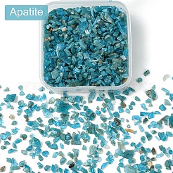 60 g (672 Stück) natürliche Apatit-Chip-Perlen&nbsp;G-YW0001-83