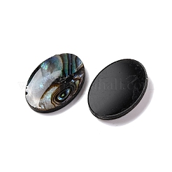 Cabochons en résine époxy en coquille de paua naturelle&nbsp;LS-SSHEL-S279-01B
