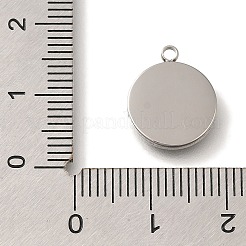 Anhänger aus 304 Edelstahl&nbsp;STAS-S148-20P
