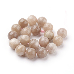 Natürliche sunstone Perlen Stränge&nbsp;G-G099-10mm-14