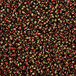12/0 Glasperlen&nbsp;SEED-S005-12