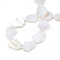 Naturali di acqua dolce perline shell fili&nbsp;SHEL-S278-04-A01