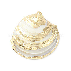 Natürliche Muschel Anhänger&nbsp;X-SHEL-F005-06LG