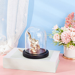 Glocke mit hoher Kuppel aus Borosilikatglas&nbsp;DJEW-WH0018-23