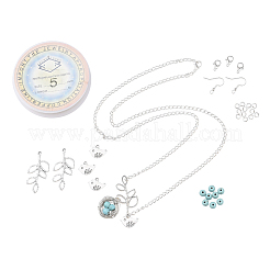Kits de bijoux boucles d'oreilles et colliers de bricolage&nbsp;DIY-JP0003-65