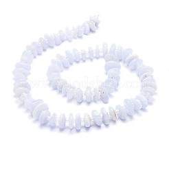 Naturali pizzo blu agata perline fili&nbsp;G-E569-J02