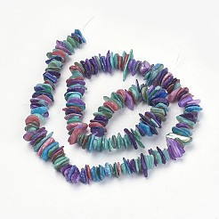 Natürlichen Muschelperlen Stränge&nbsp;X-PBB226Y-4