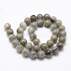Natur Labradorit&nbsp;G-G735-29-8mm