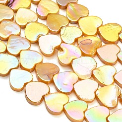 Eau douce naturelle de coquillage perles brins&nbsp;SH-CBA93AD-06B