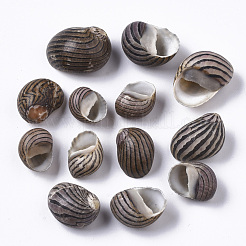 Natürliche Muschelperlen&nbsp;SSHEL-S258-89