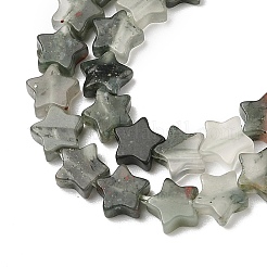 Natürlichen Blutstein Perlen Stränge&nbsp;G-H087-C05-01