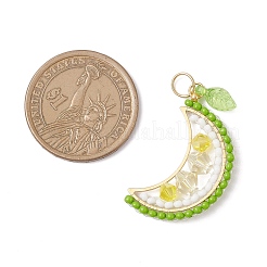 Pendentifs en forme de fruits en perles de verre rondes&nbsp;PALLOY-MZ00864-03