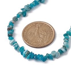 Collier de perles d'apatite naturelle&nbsp;NJEW-JN04615-15