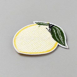 Aufnäher für Kleidung aus Polyester&nbsp;DIY-WH0750-303