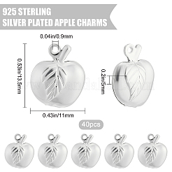 40 Stück Messing Charms&nbsp;KK-BBC0001-02