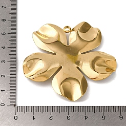 Ciondoli in acciaio inox smaltato 304&nbsp;STAS-L299-01B-G06