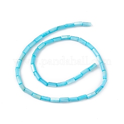 Hebras de cuentas teñidas de concha natural de agua dulce&nbsp;SHEL-M018-11-04