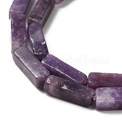 Natürliche Lepidolith / lila Glimmer Steinperlen Stränge&nbsp;G-E612-C05-A