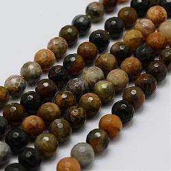 Pétrifiés bois brins de perles naturelles, ronde, facette, 8mm, Trou: 0.5mm, Environ 46 pcs/chapelet, 14.7 pouce (37.5 cm)